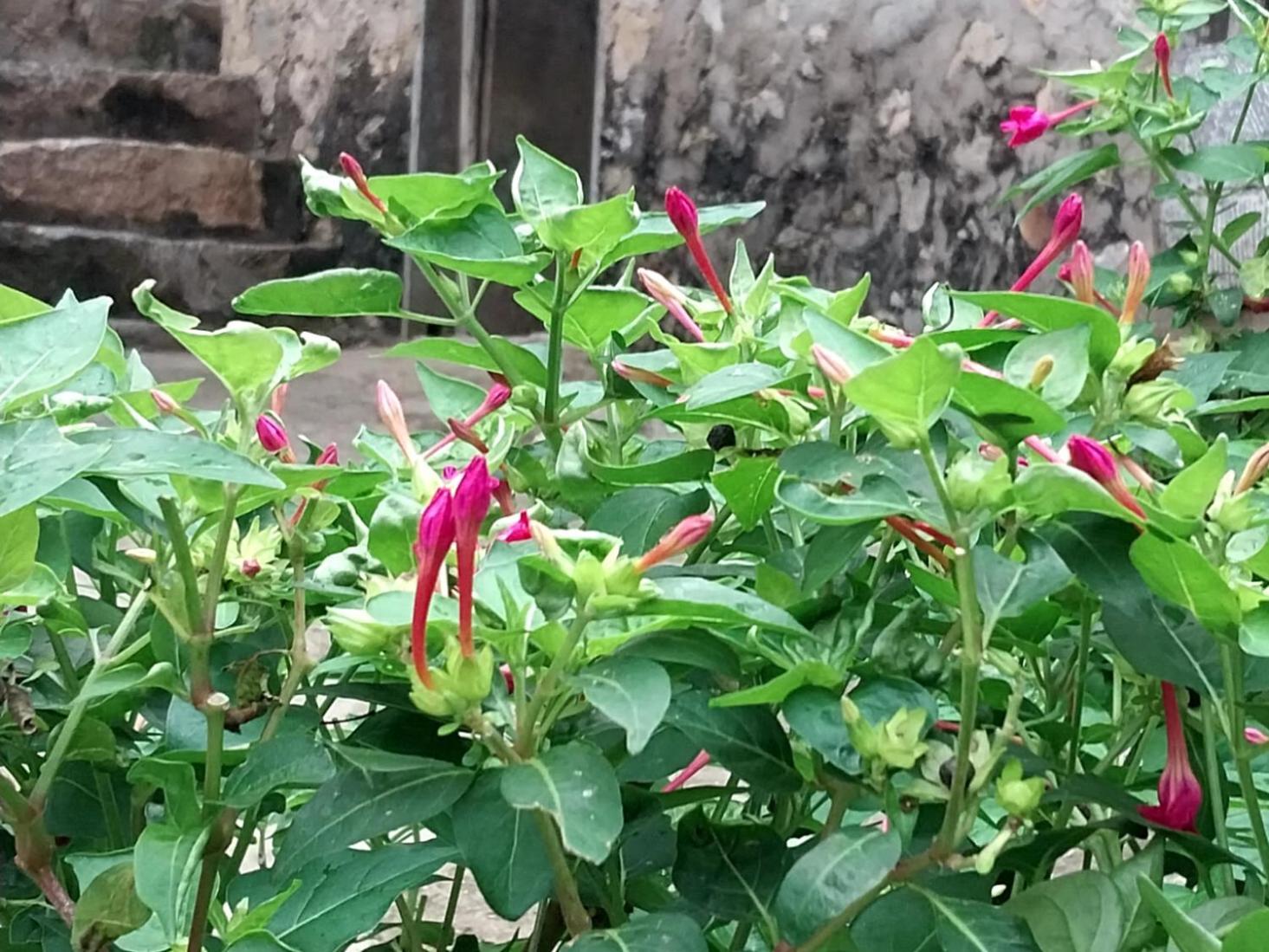 Trieu Hoan Homestay Cao Bang Ngoại thất bức ảnh