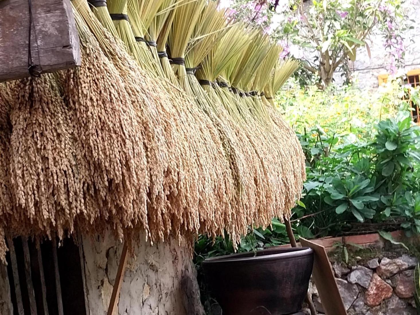 Trieu Hoan Homestay Cao Bang Ngoại thất bức ảnh