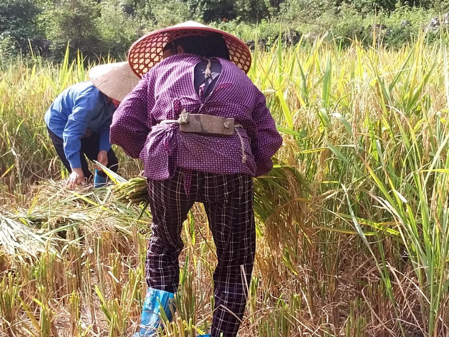 Trieu Hoan Homestay Cao Bang Ngoại thất bức ảnh